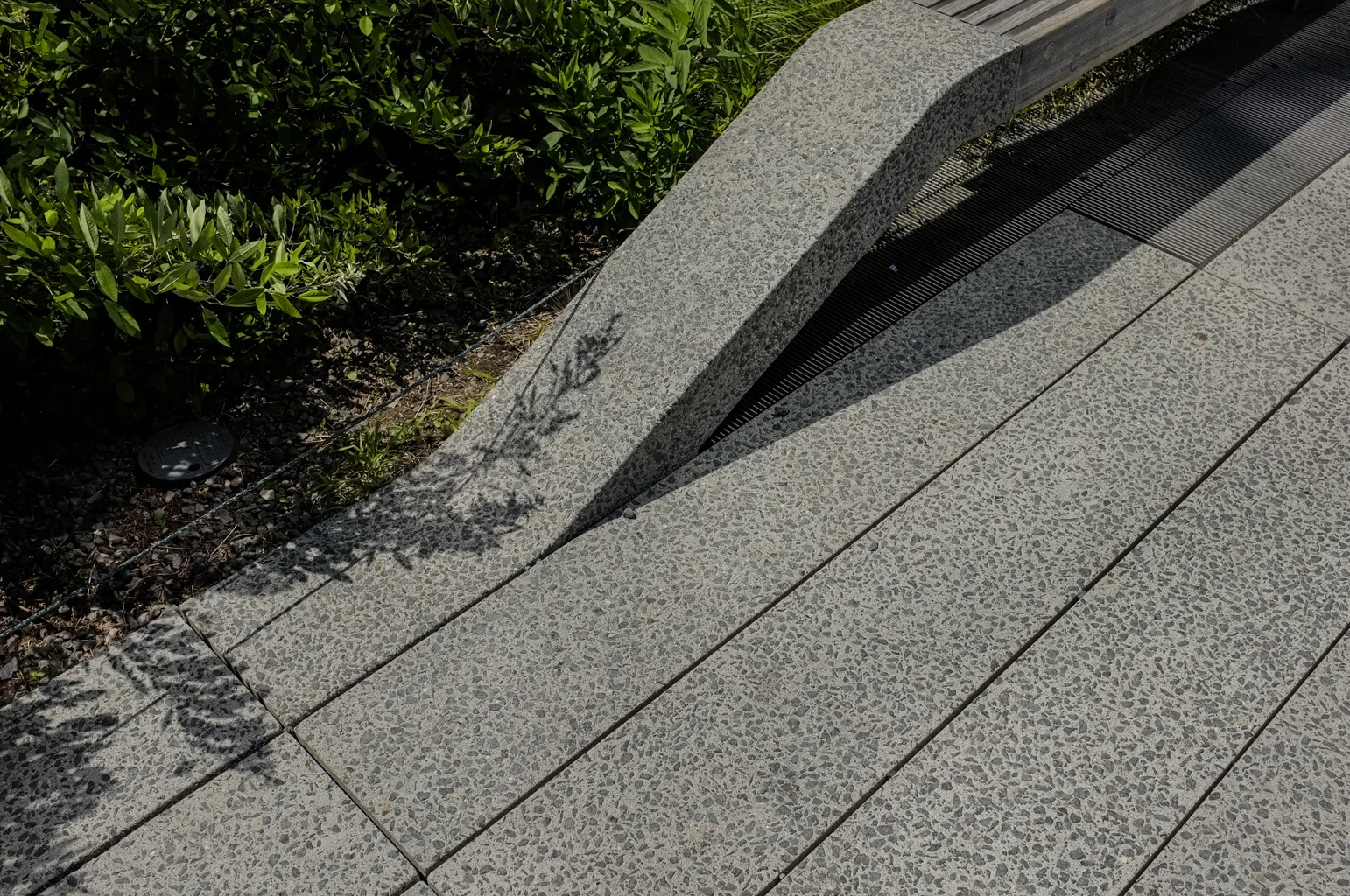 _DSF0401.jpg