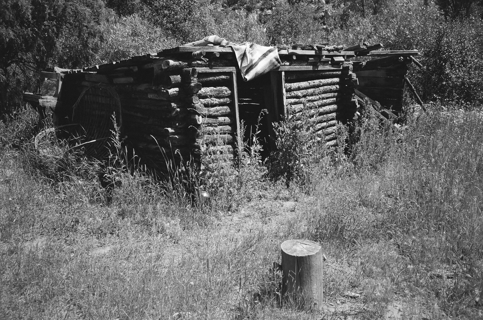 cabin log made shed .JPG