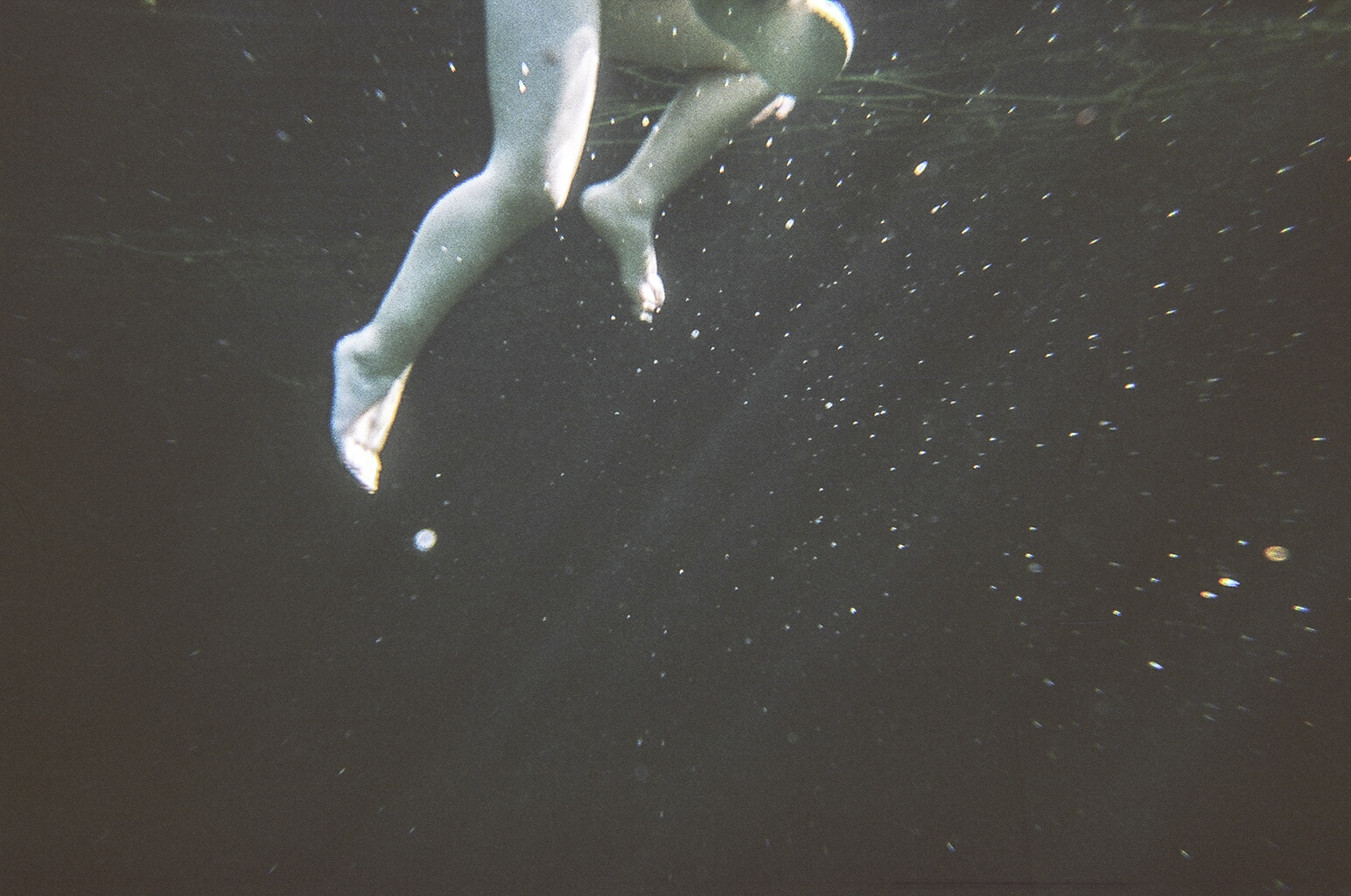 kicking in cenote copy.jpg