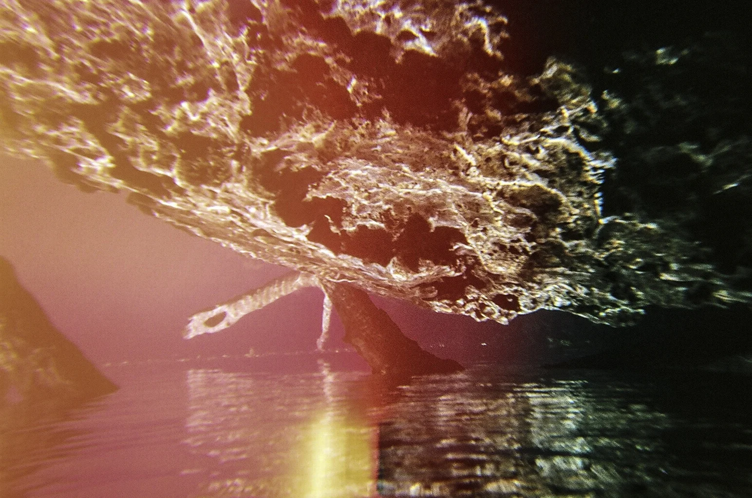 71630002.jpg