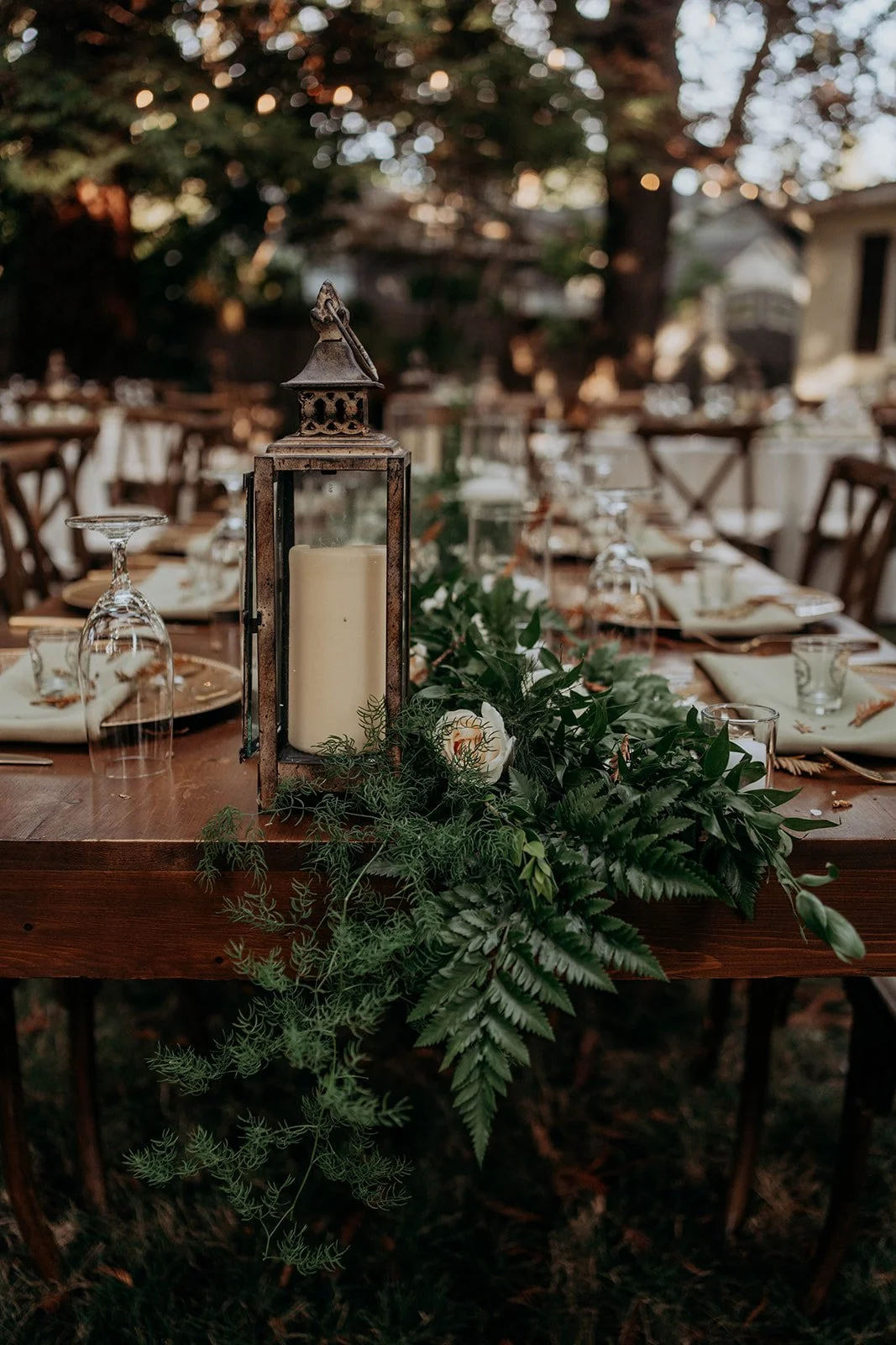 ALKA (620 of 1182)_websize.jpg