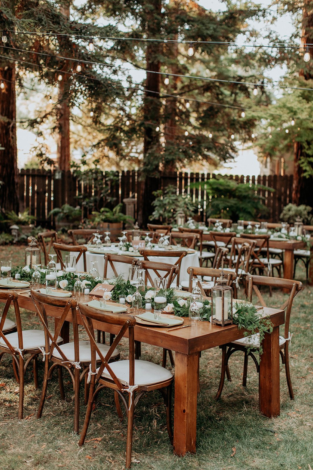 ALKA (582 of 1182)_websize.jpg