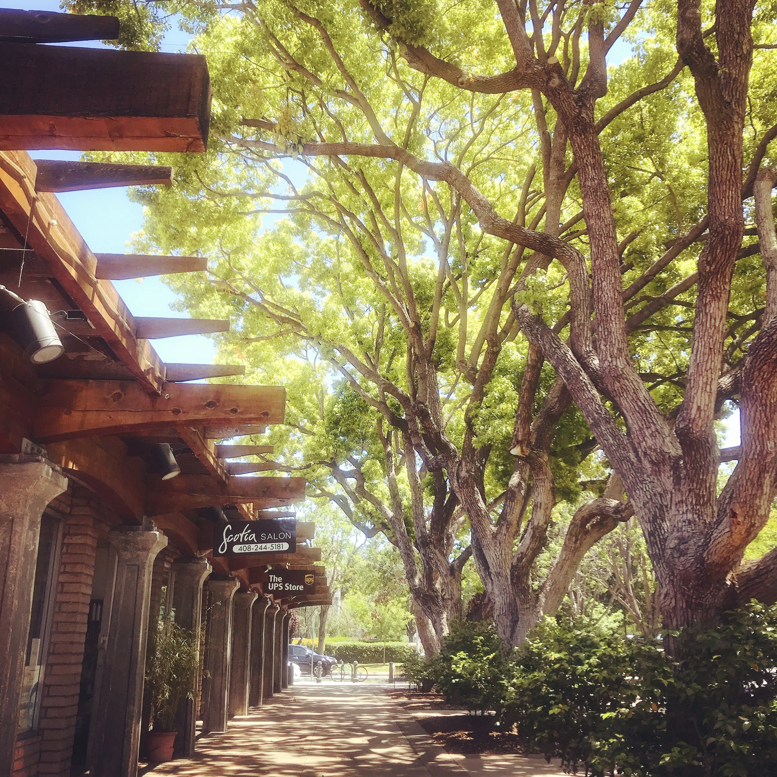  This is the where I started my yoga studio (Jiaren Yoga Studio). I spend tons of time here to know the people and businesses locally, and at the same time, I fall in love with this place.&nbsp;  — Jaden Zhao 
