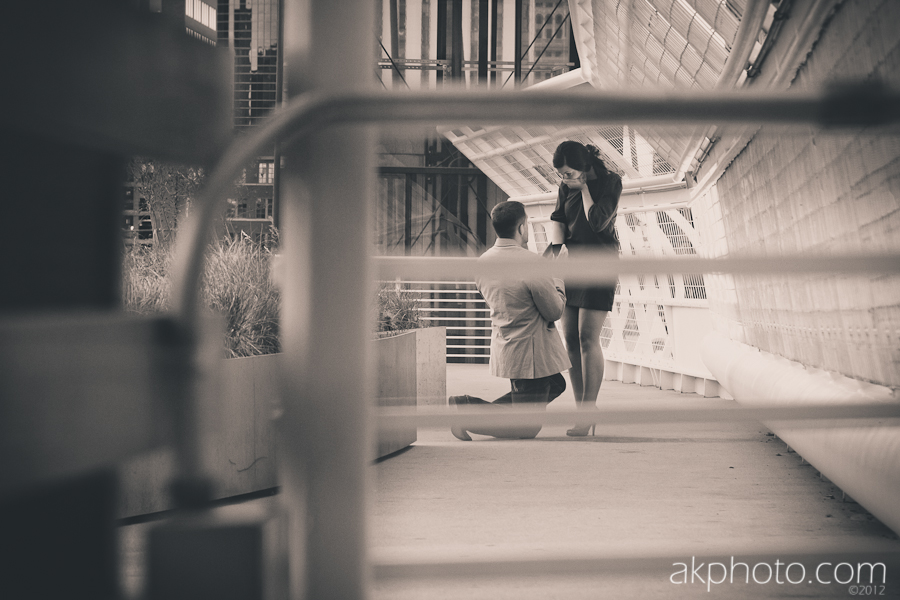 denver-proposal-photographer.jpg