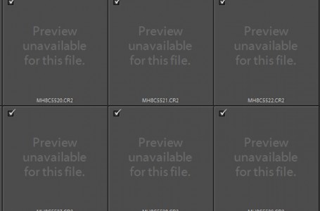 Error seen when importing 5D3 RAW files in an older version of Lightroom 4.