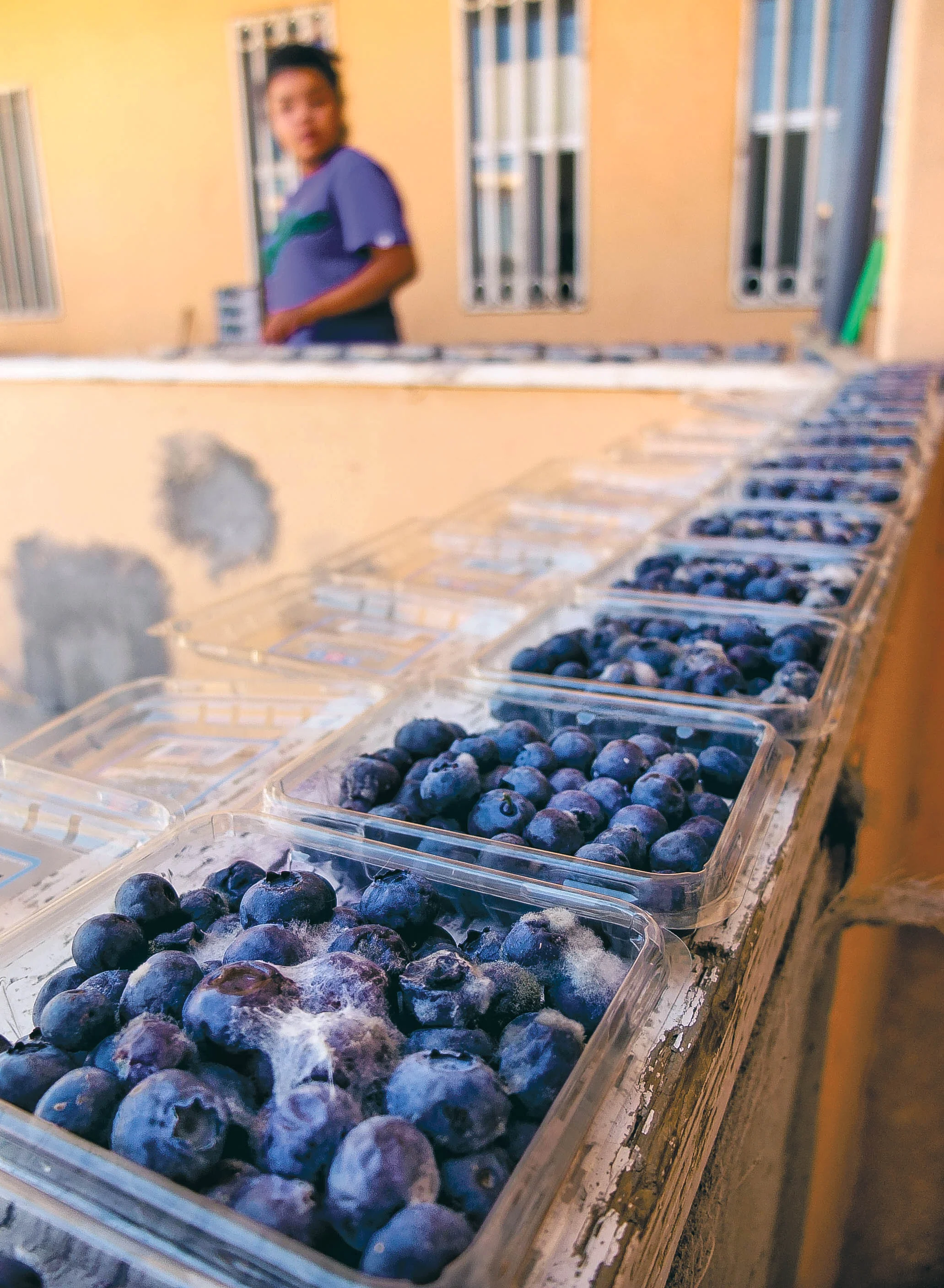 Expired Fruit.