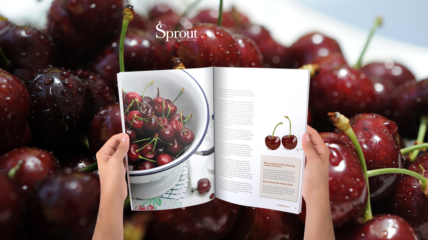 website-slider-images-new-sprout-new-11.jpg