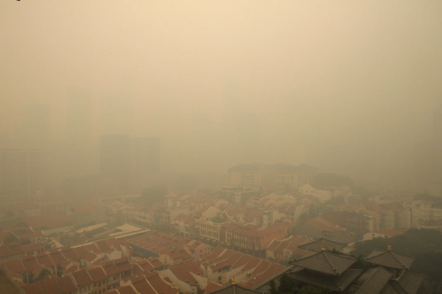 08-JoeNair-sgHaze.jpg