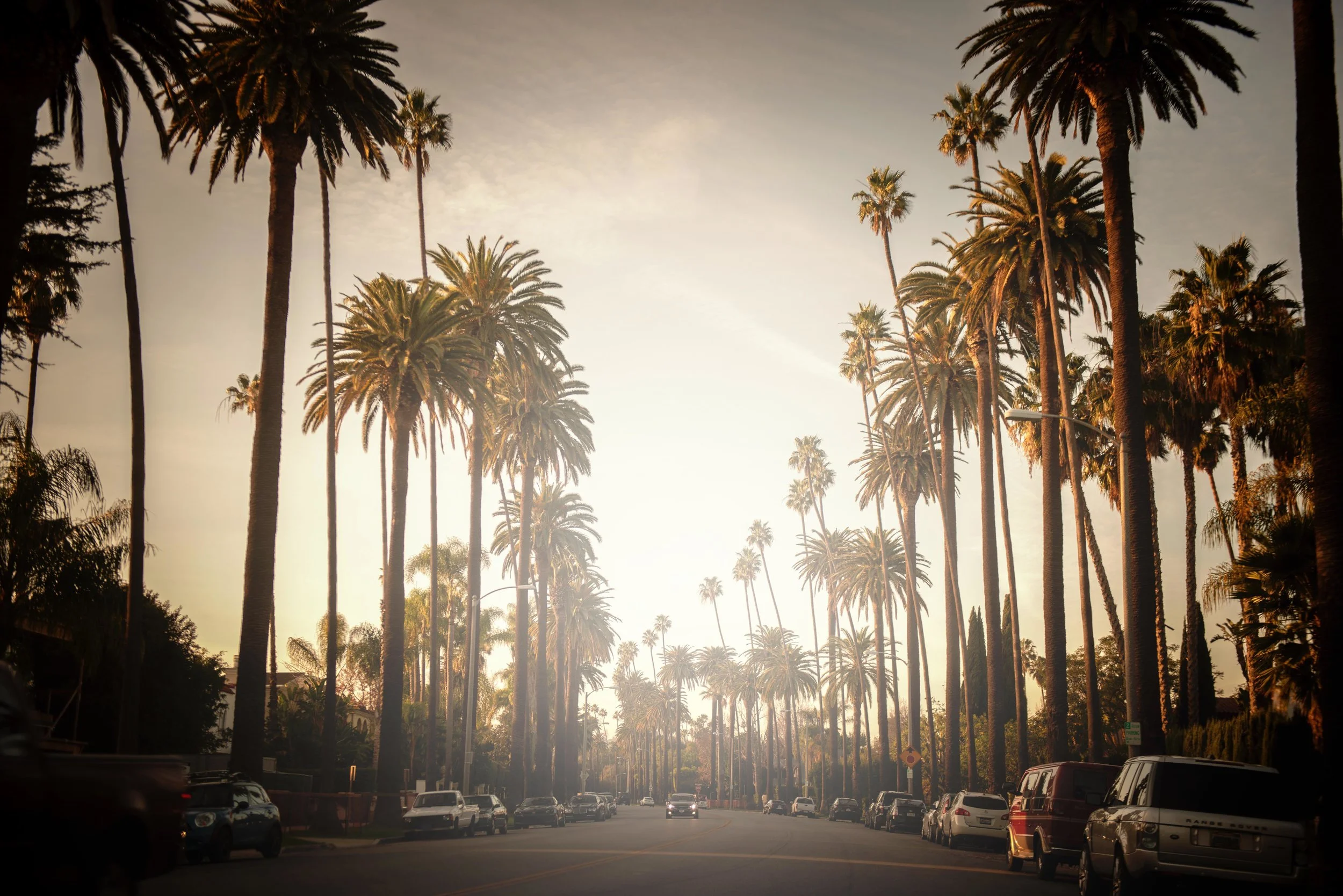 boulevard.jpg