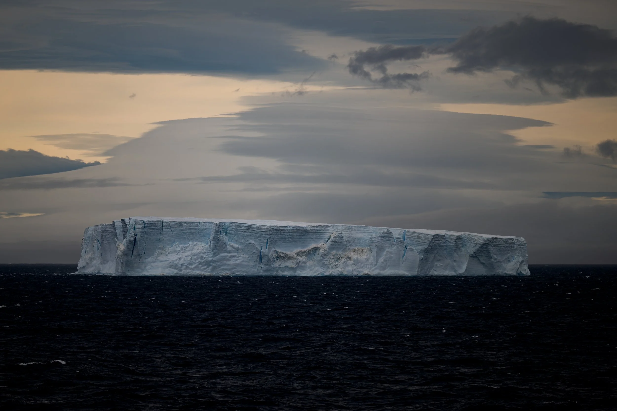 DSC_0181.jpg