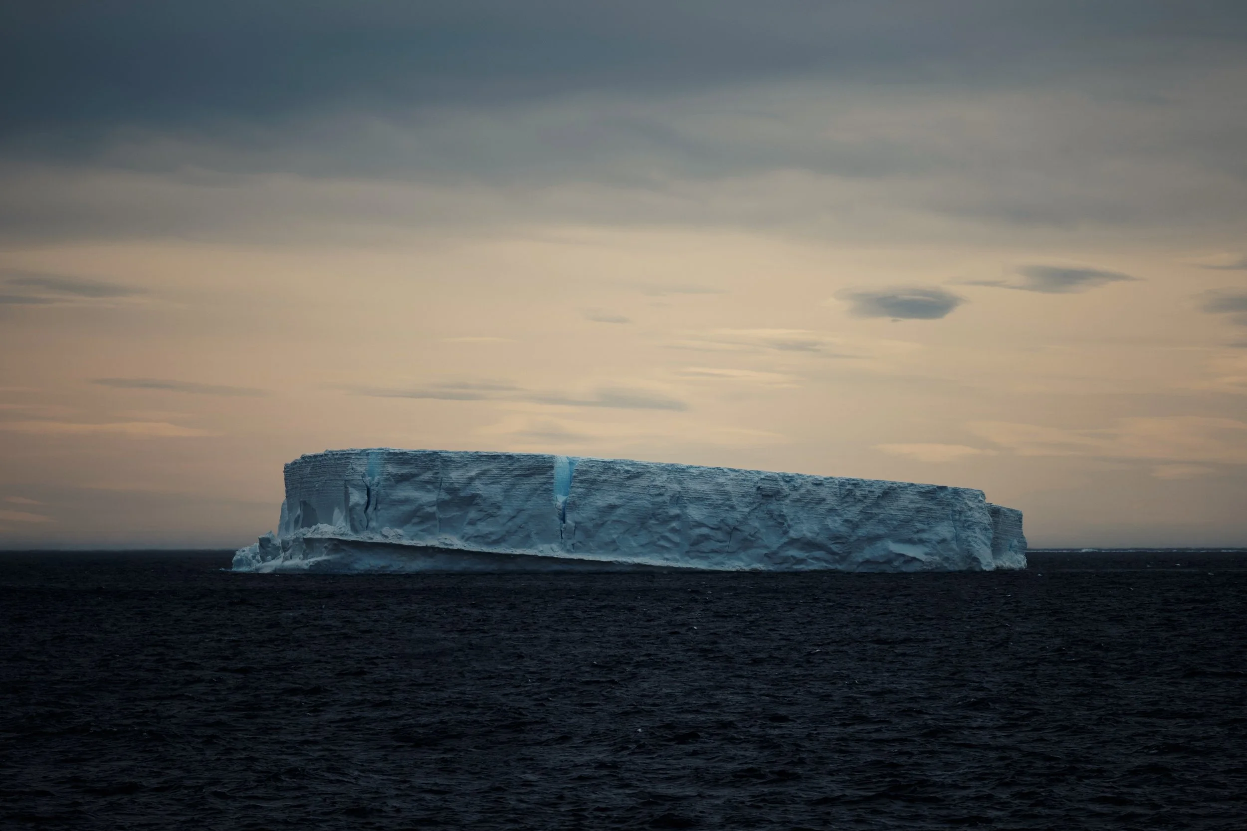 DSC_8579.jpg