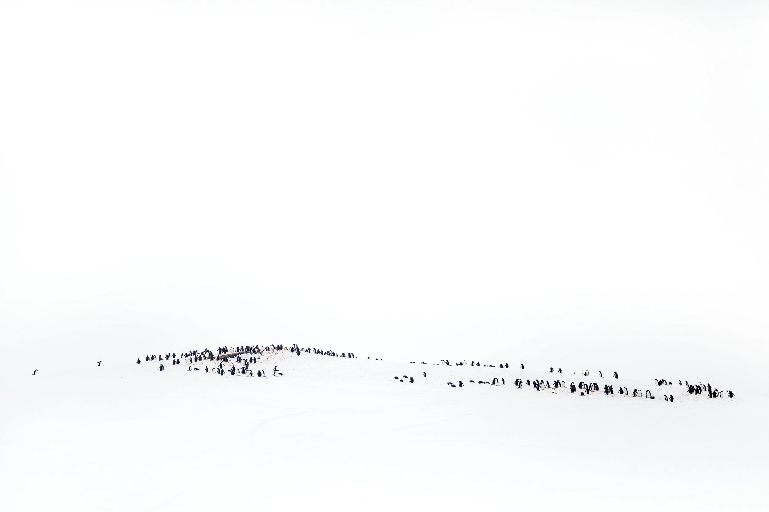 _DSC9493nah_WW.jpg