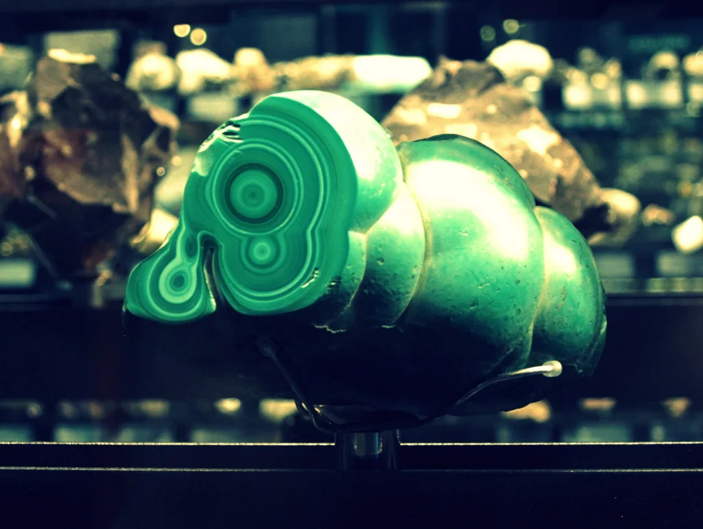 natural history museum | inspiration