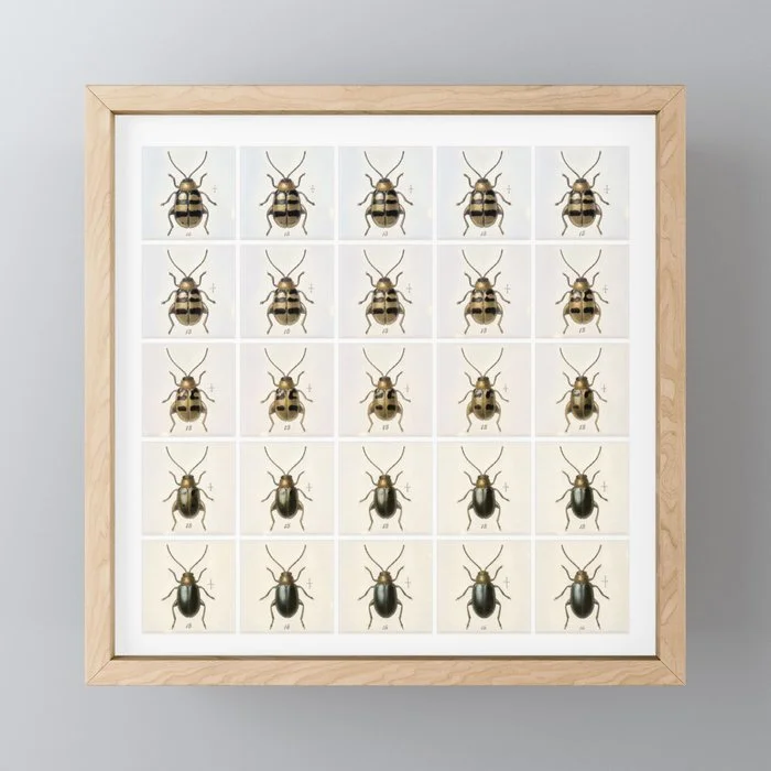 confusing-coleopterists2517623-framed-mini-art-prints.jpg