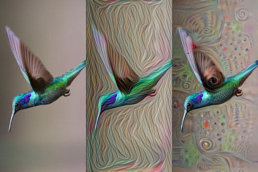 DeepDreamGenerator