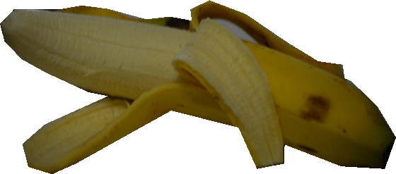 47_banana_8920_0.png