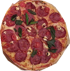 54_pizza_2869_2.png