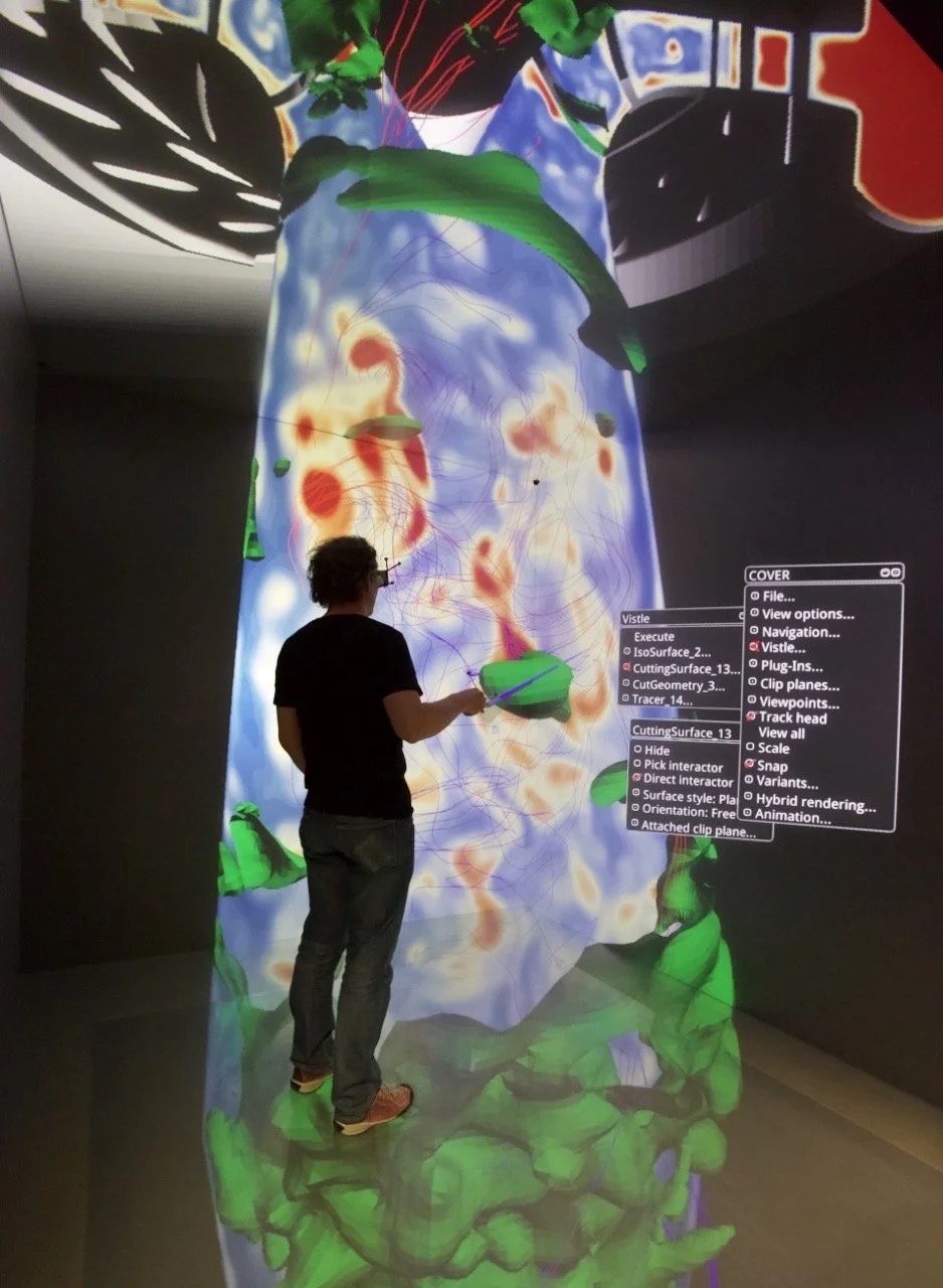 vistle-ihs Large.jpeg