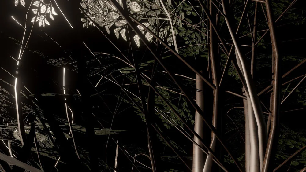 IMG_C8DFC43C2F75-8 2.jpeg