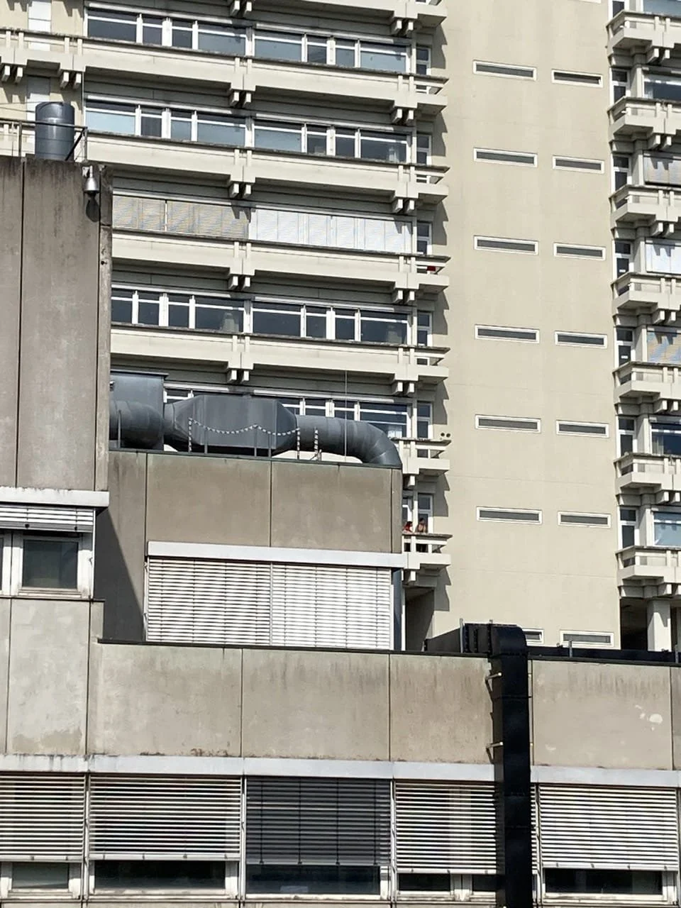 Sv2_IMG_2476 Large.jpeg