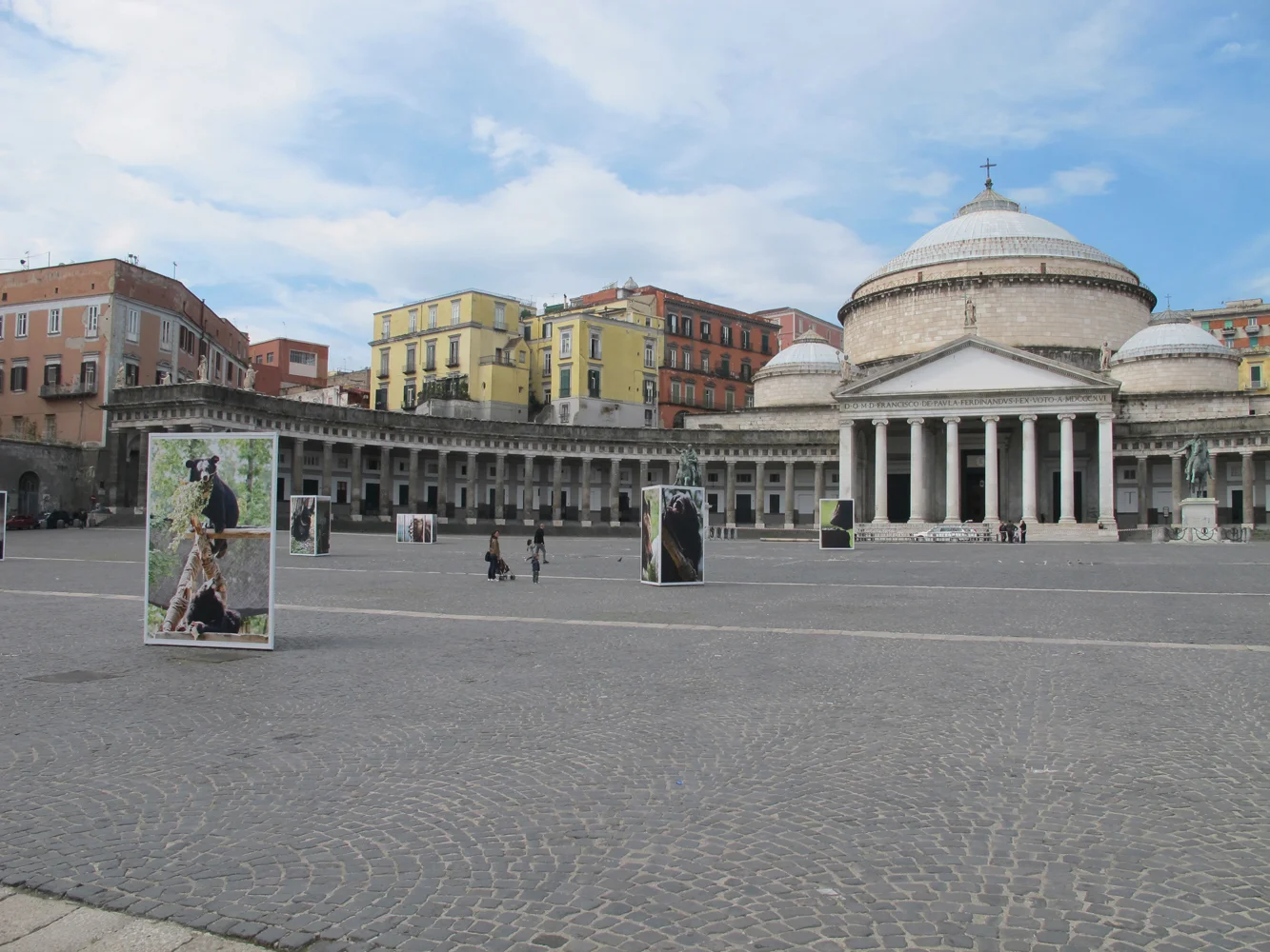 ©Rocco Toscani-Animals Asia_0034_cmyk.jpg