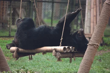 %a9 Rocco Toscani RT_A3715.jpg