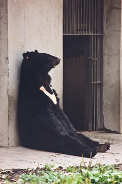 %a9 Rocco Toscani RT_A4717.jpg