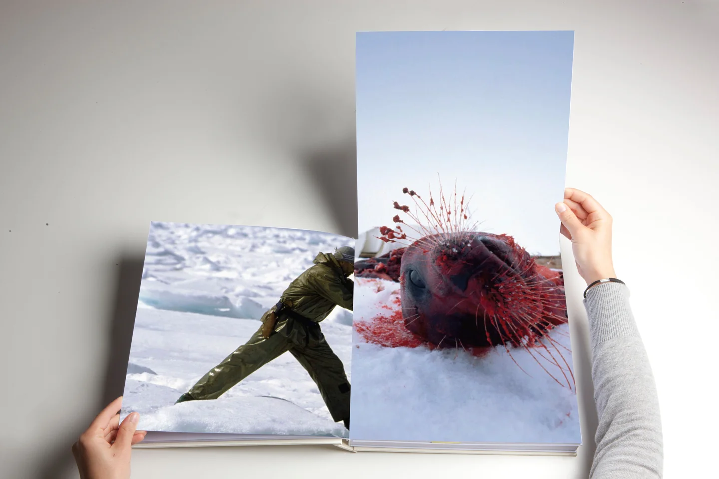 we_are_beasts 42.jpg