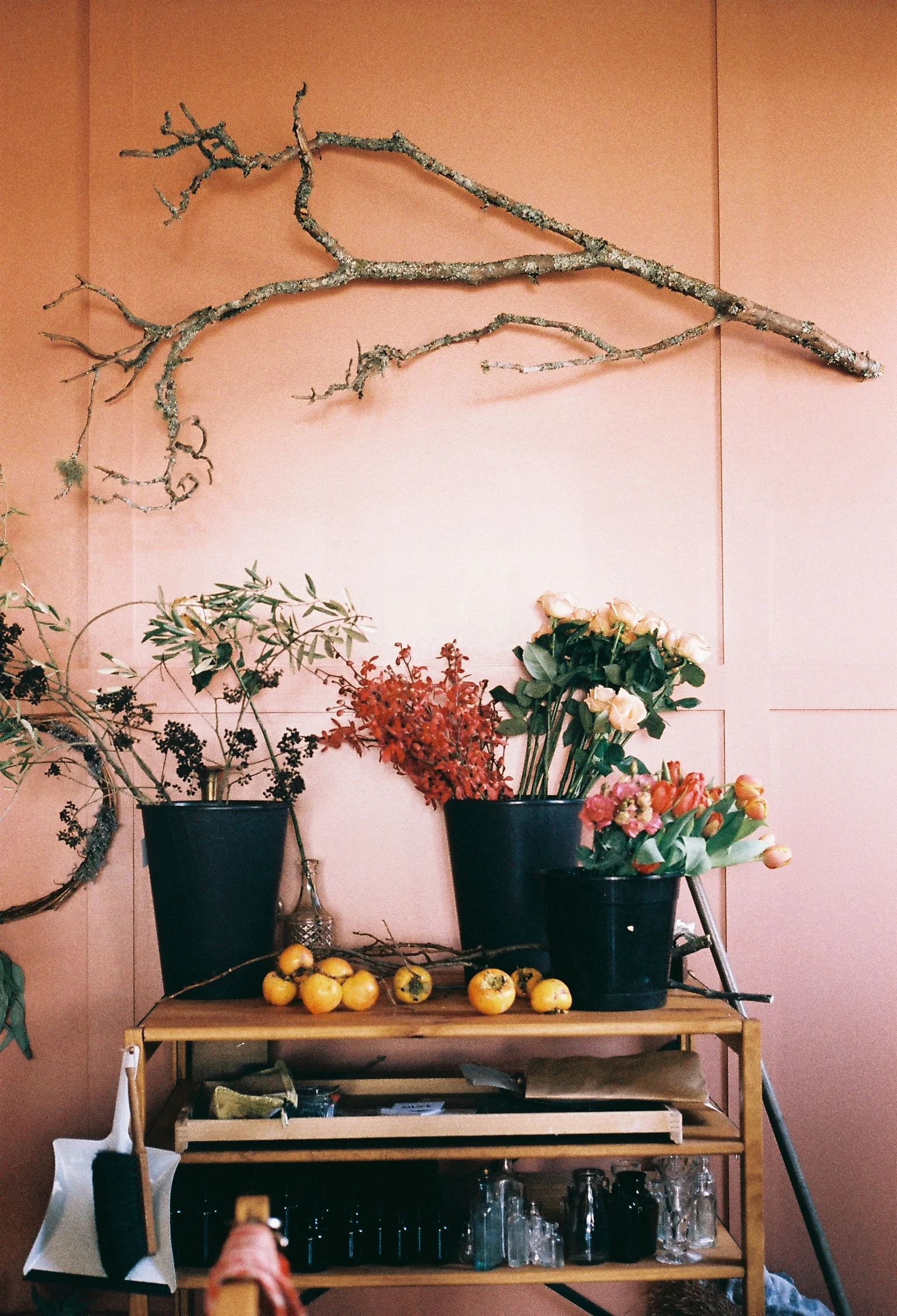 Photography: Harriet Were