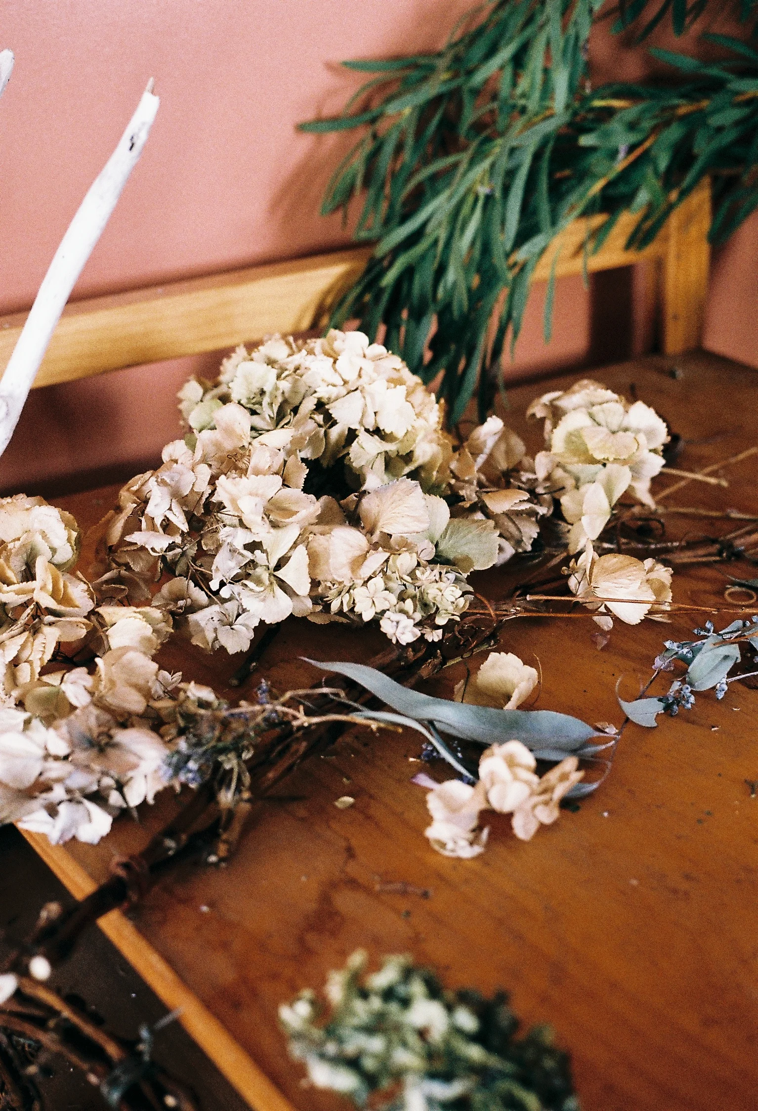 Photography: Harriet Were