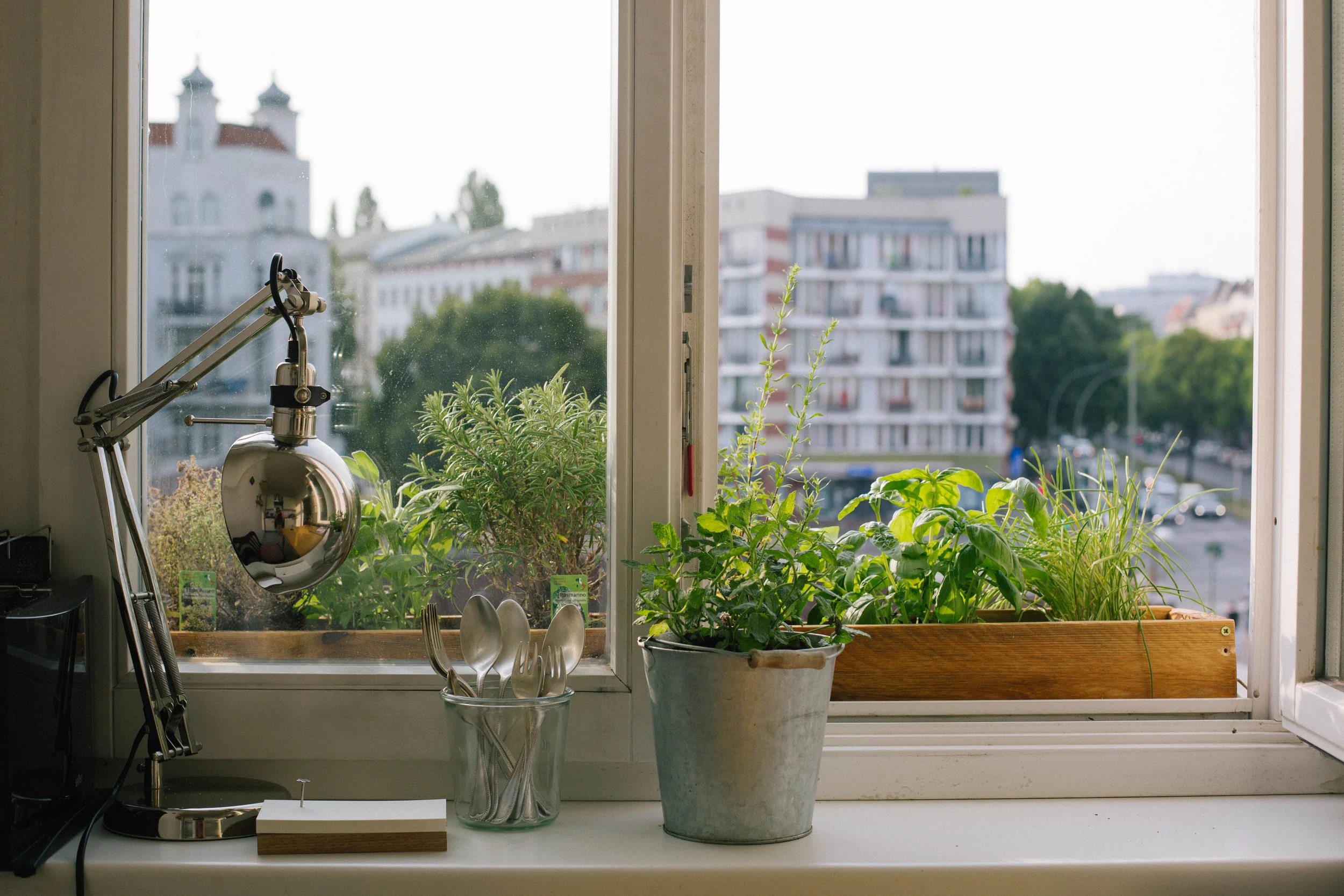 July 2015: Our herb garden in the kitchen: Lemon thyme, sage, rosemary, oregano, basil and chives. Moroccan mint in the bucket.
