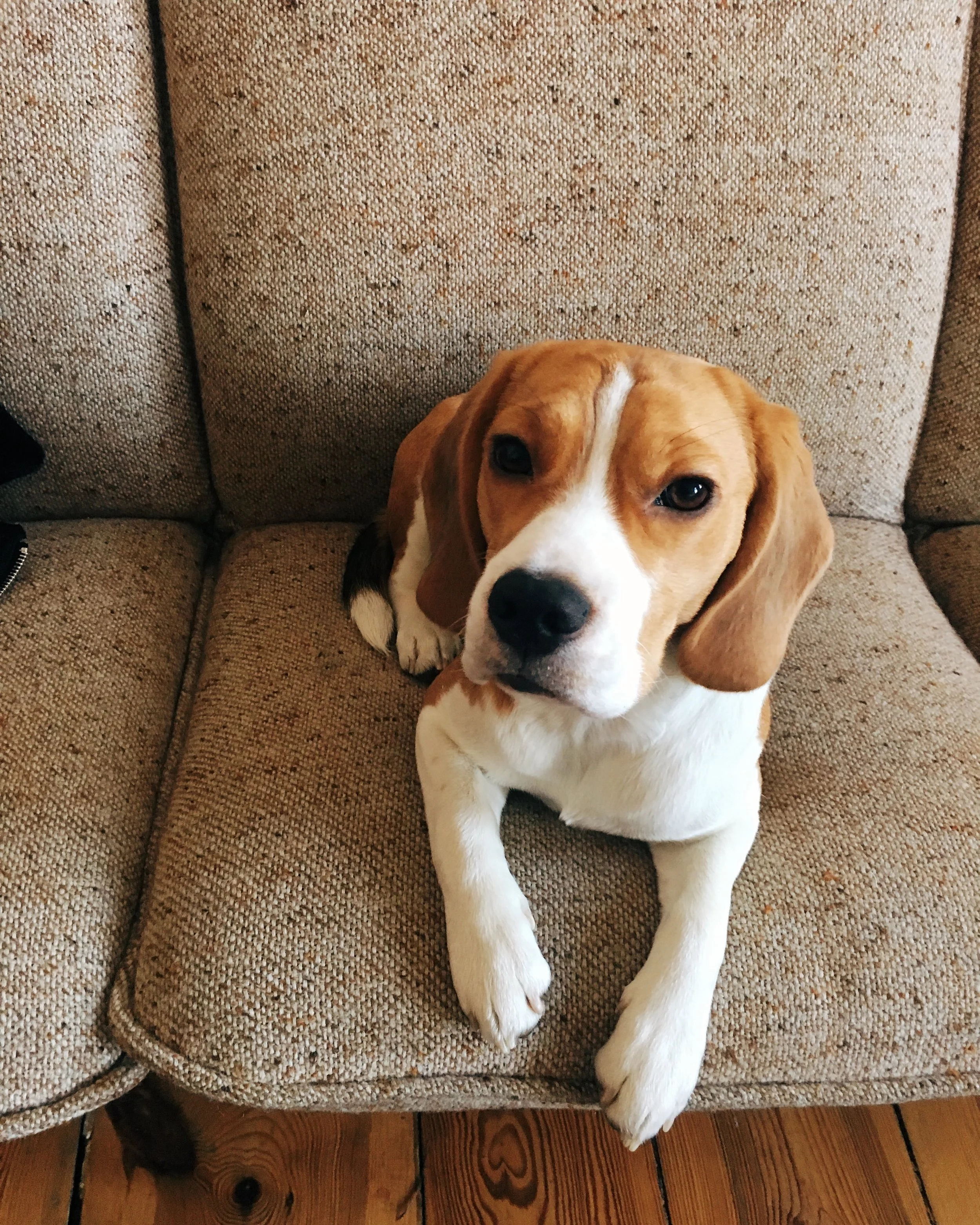 Processed with VSCO with e1 preset
