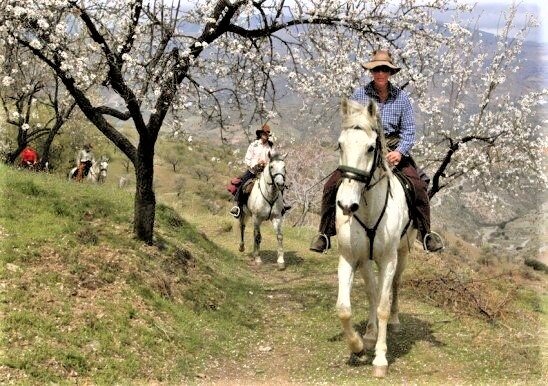 Horsback riding in the country side