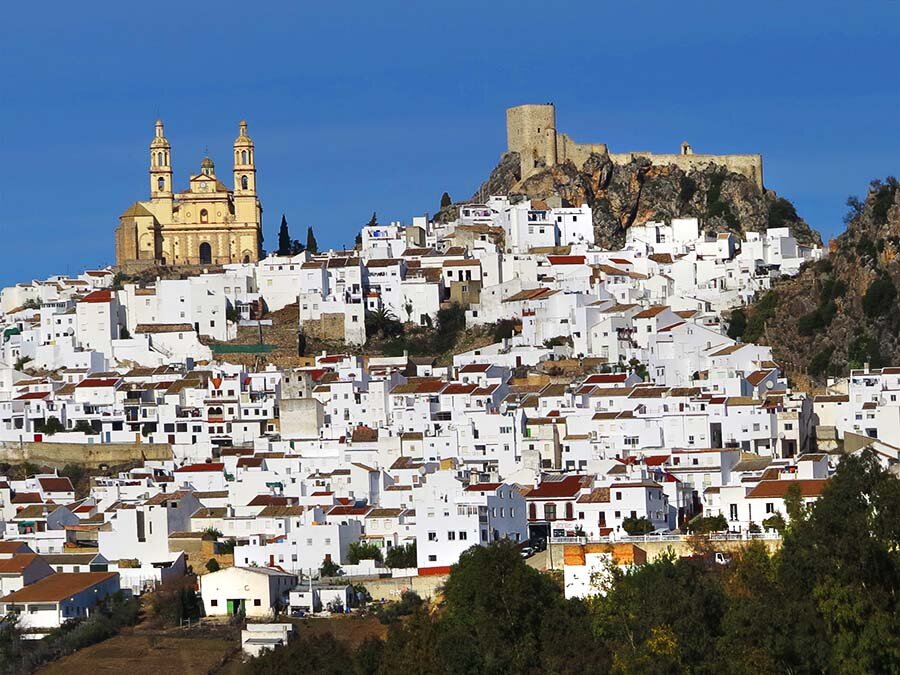 Antequera - with the castle and Santa María Basilica ( 1 hour )