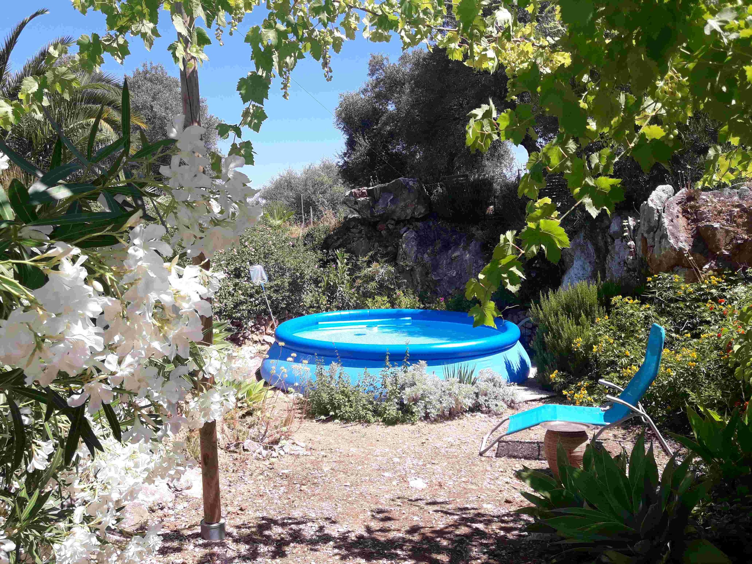 20210620_122838 pool +sunbed+white flowers 647 kb .jpg