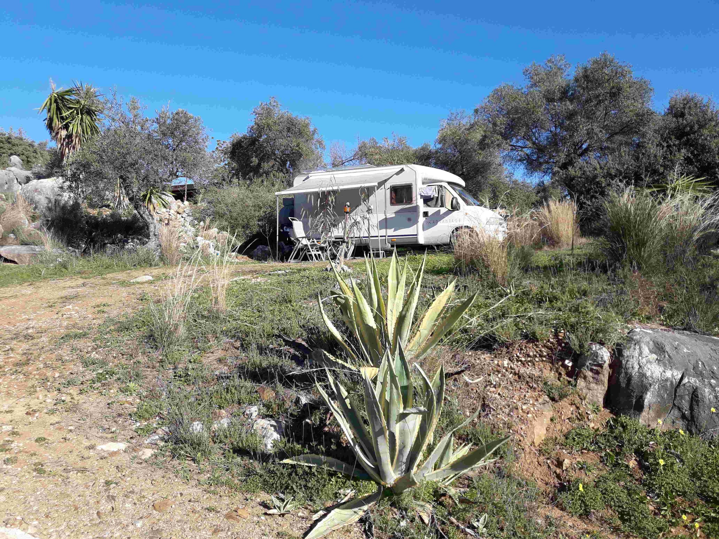 kamperen bij de cactusberg.jpg