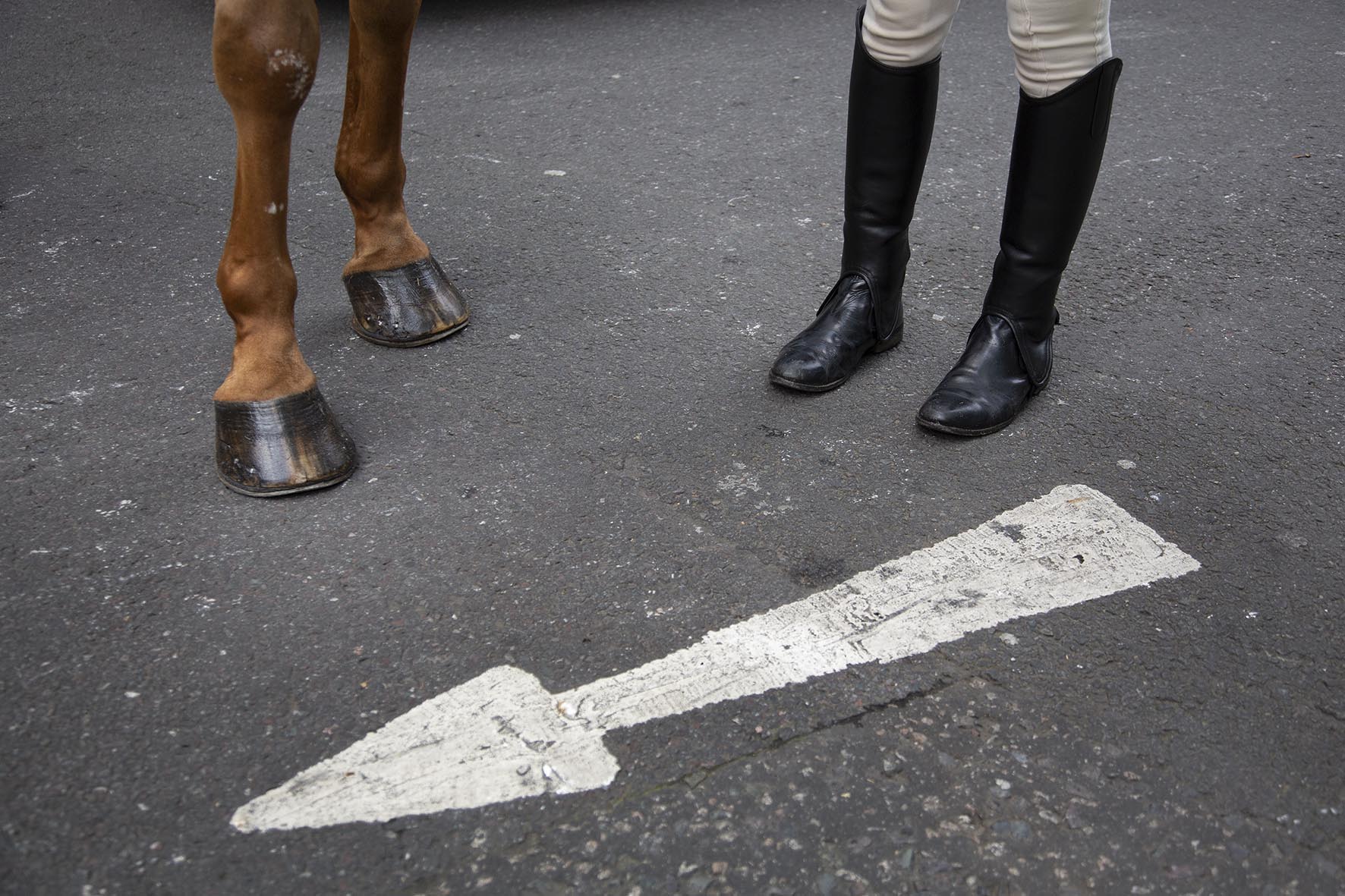 20141108_lord mayors show_N.jpg