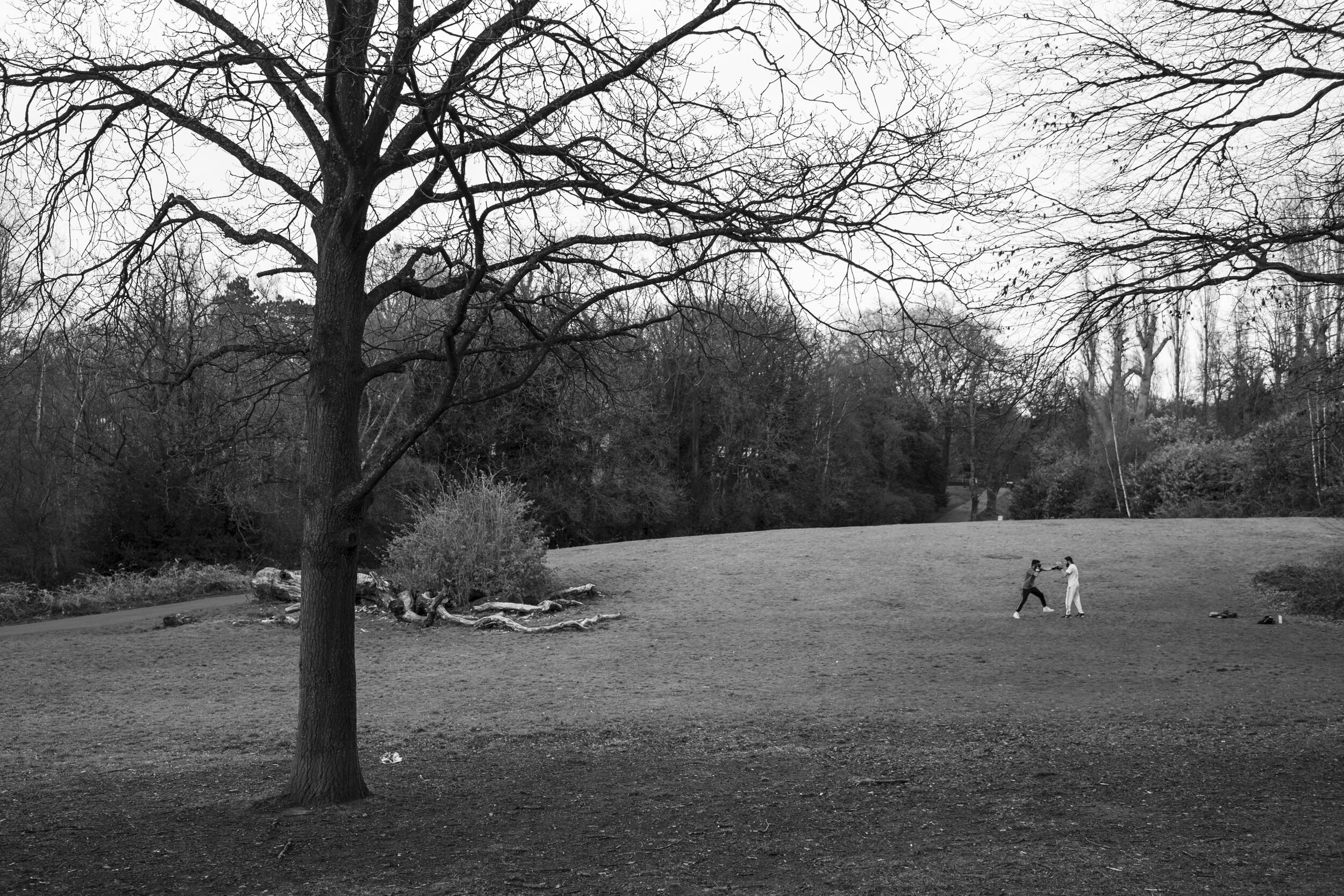  Outdoor training in Highbury Park as gyms have to close. April 2020. Kings Heath. 