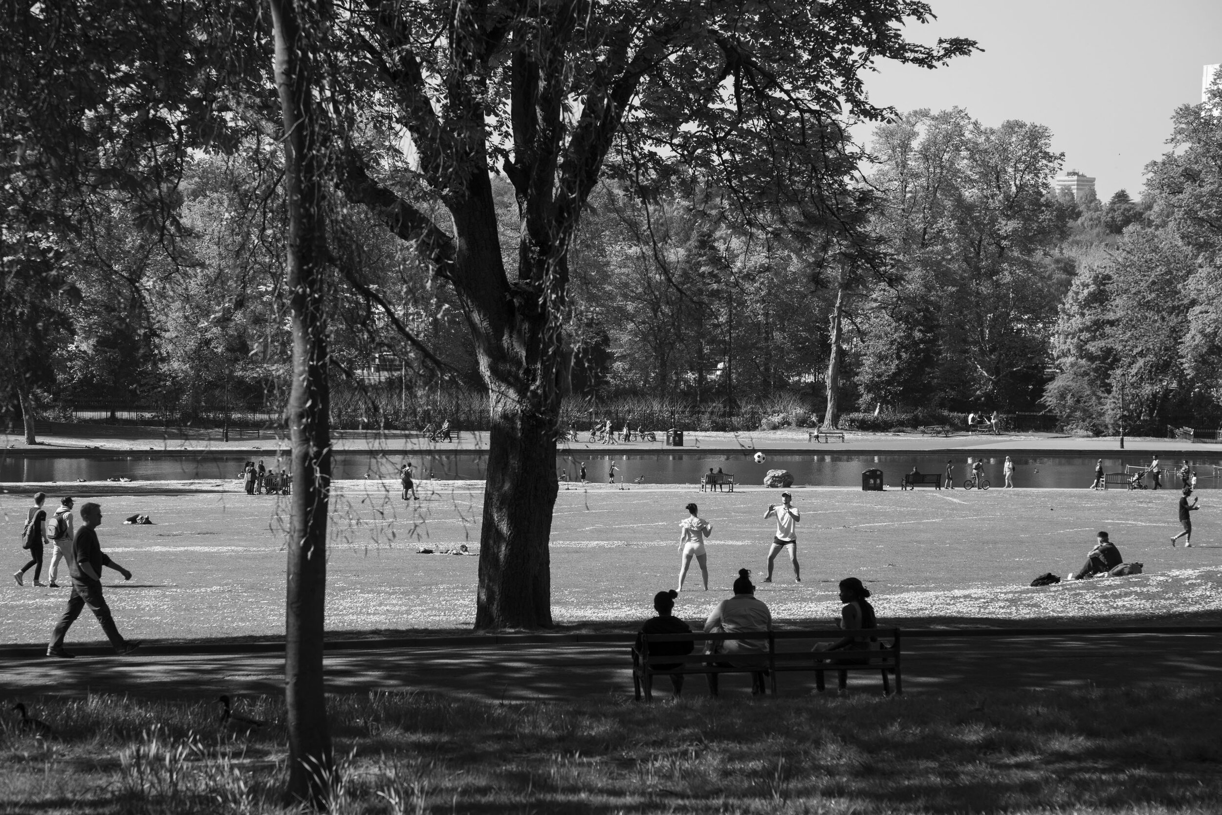  Park life in Canon Hill Park. April 2020. Moor Green. 