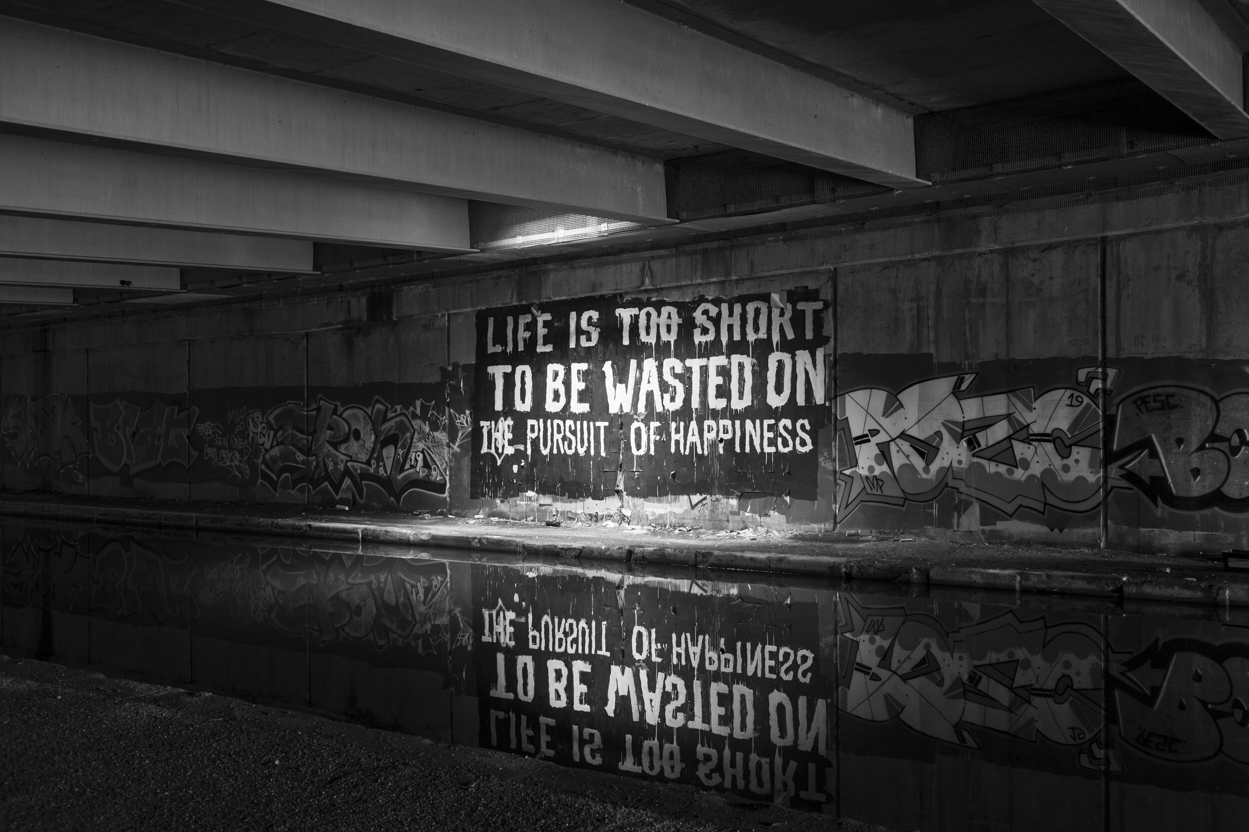  Canal graffiti under Spaghetti Junction. April 2020. Gravelly Hill. 