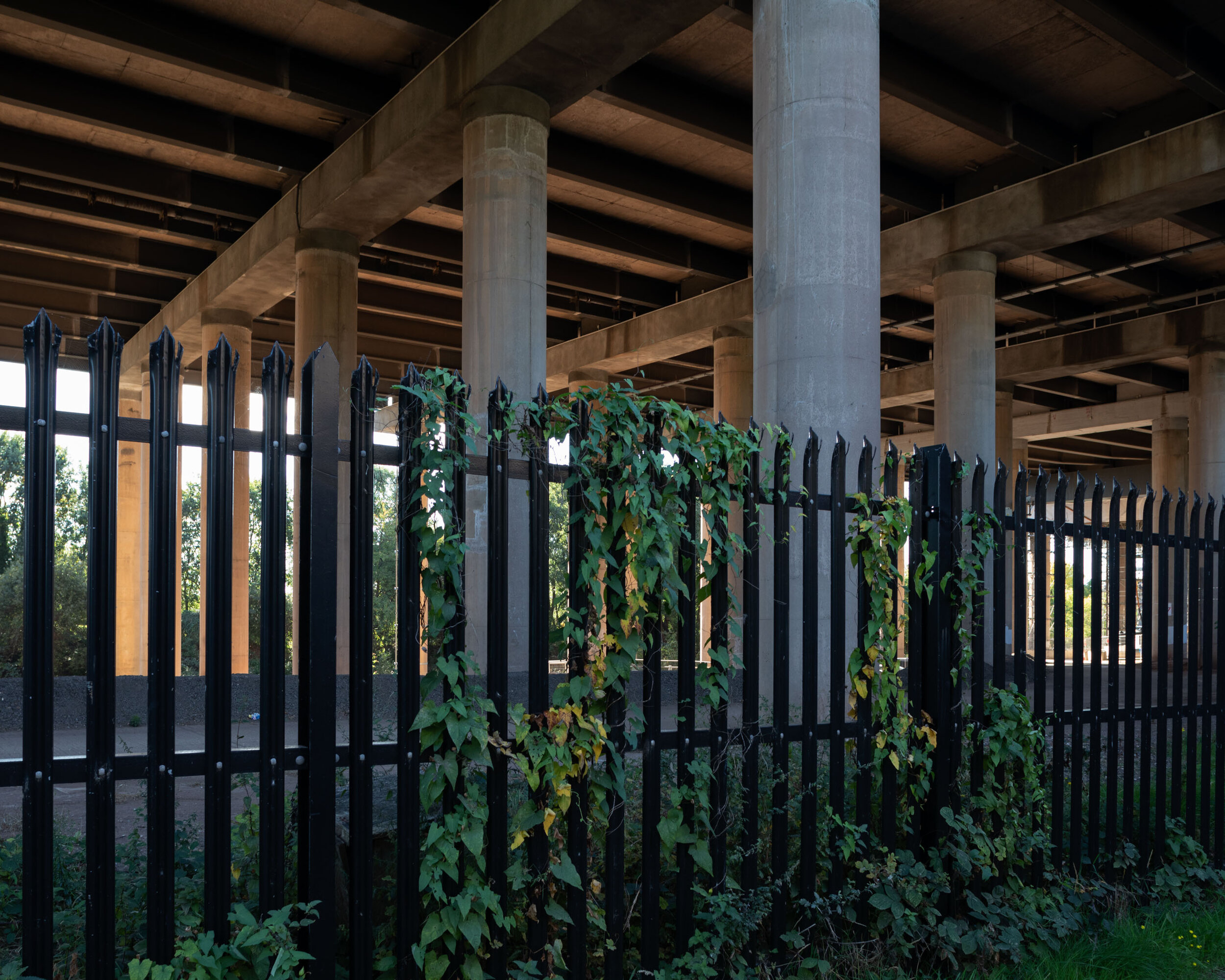 20180927_spaghetti junction_009.jpg