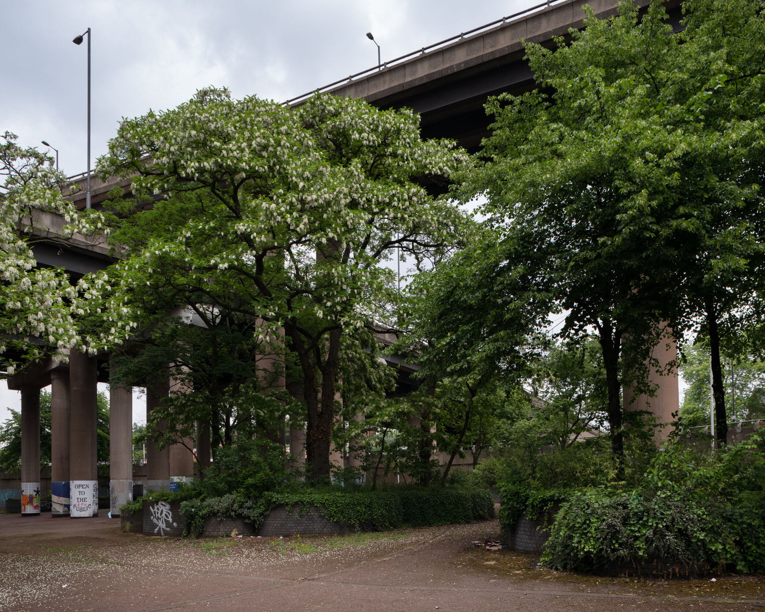 20180531_spaghetti junction_021.jpg