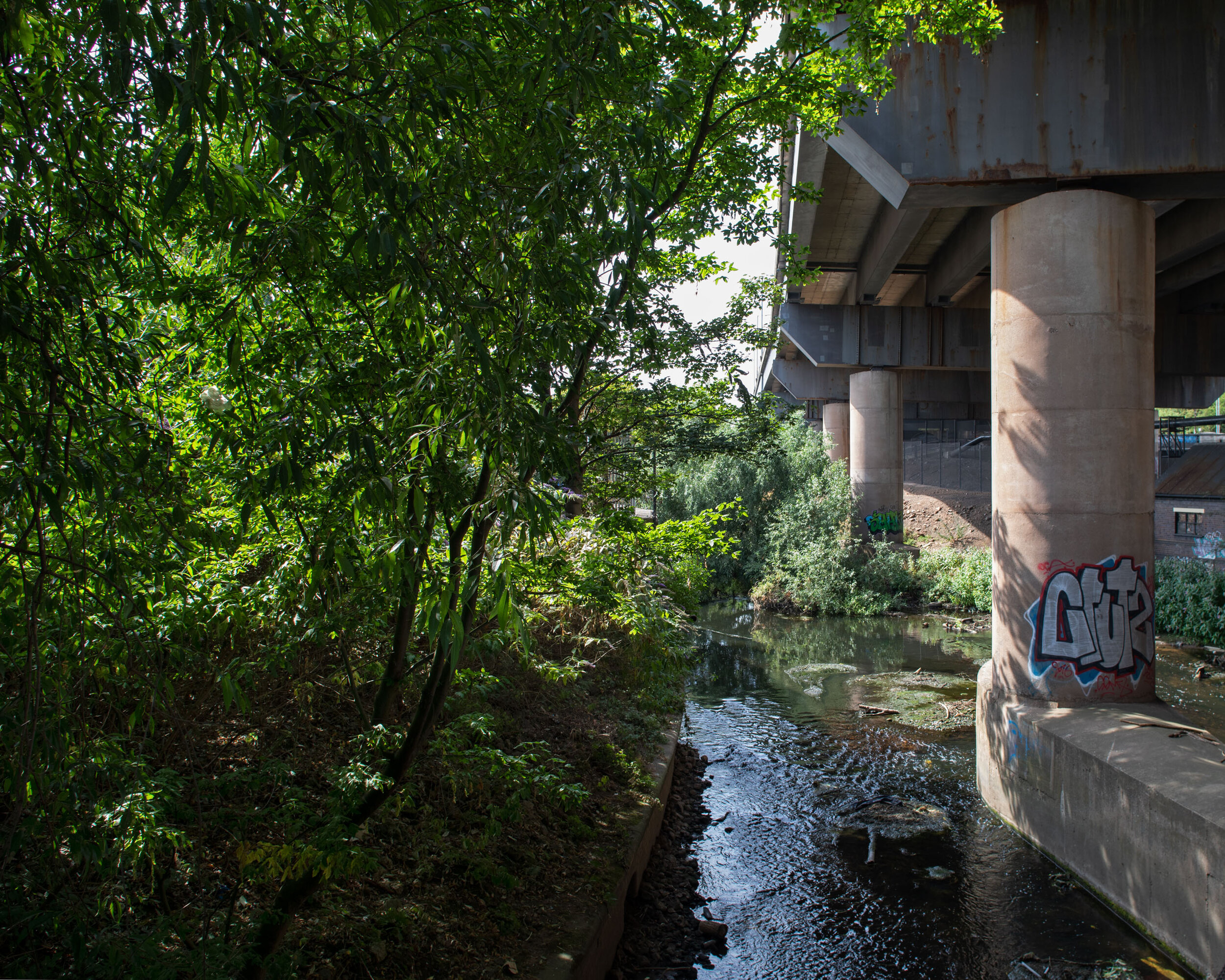 20180725_spaghetti junction_084.jpg