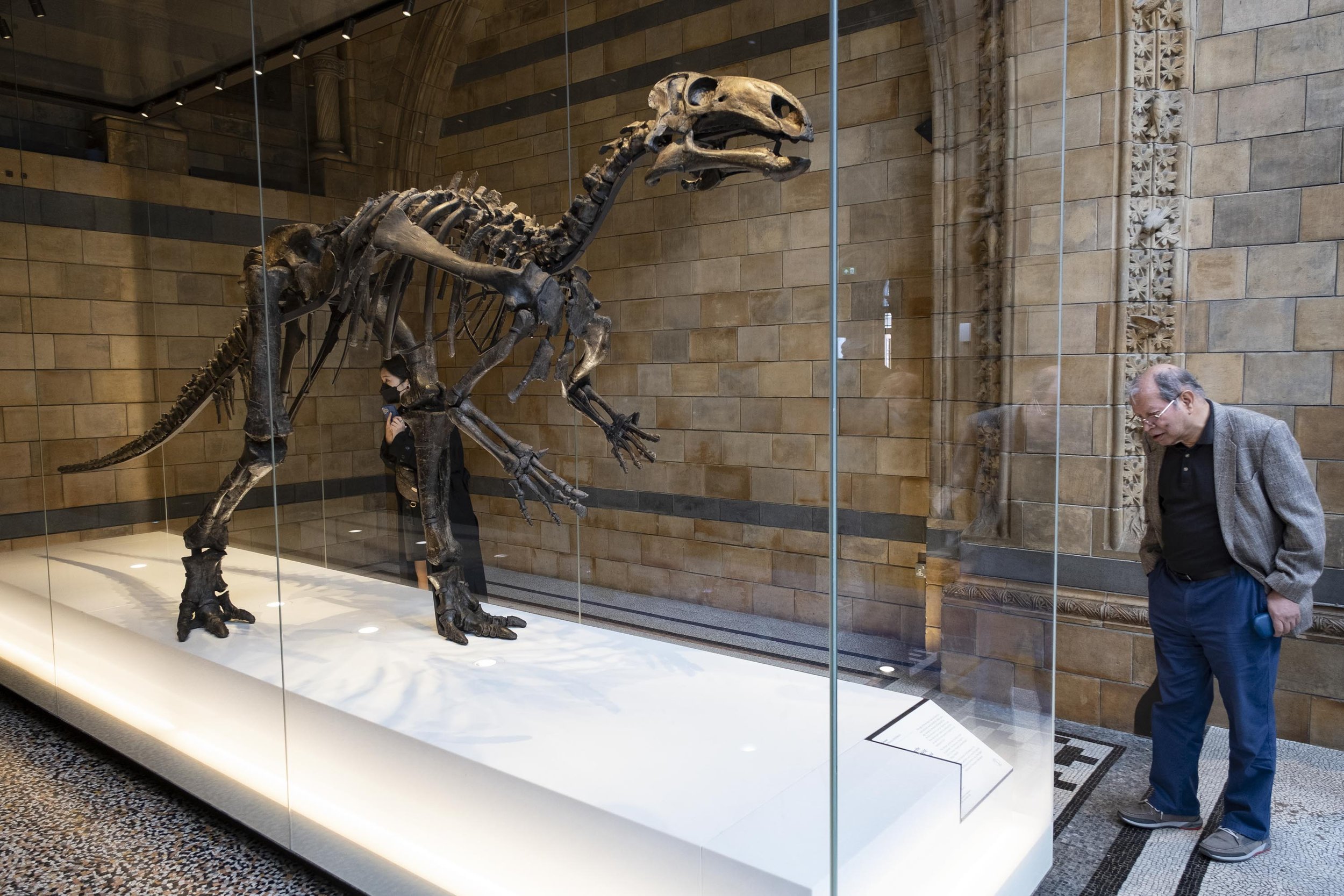 20220428_natural history museum iguanodon_008.jpg