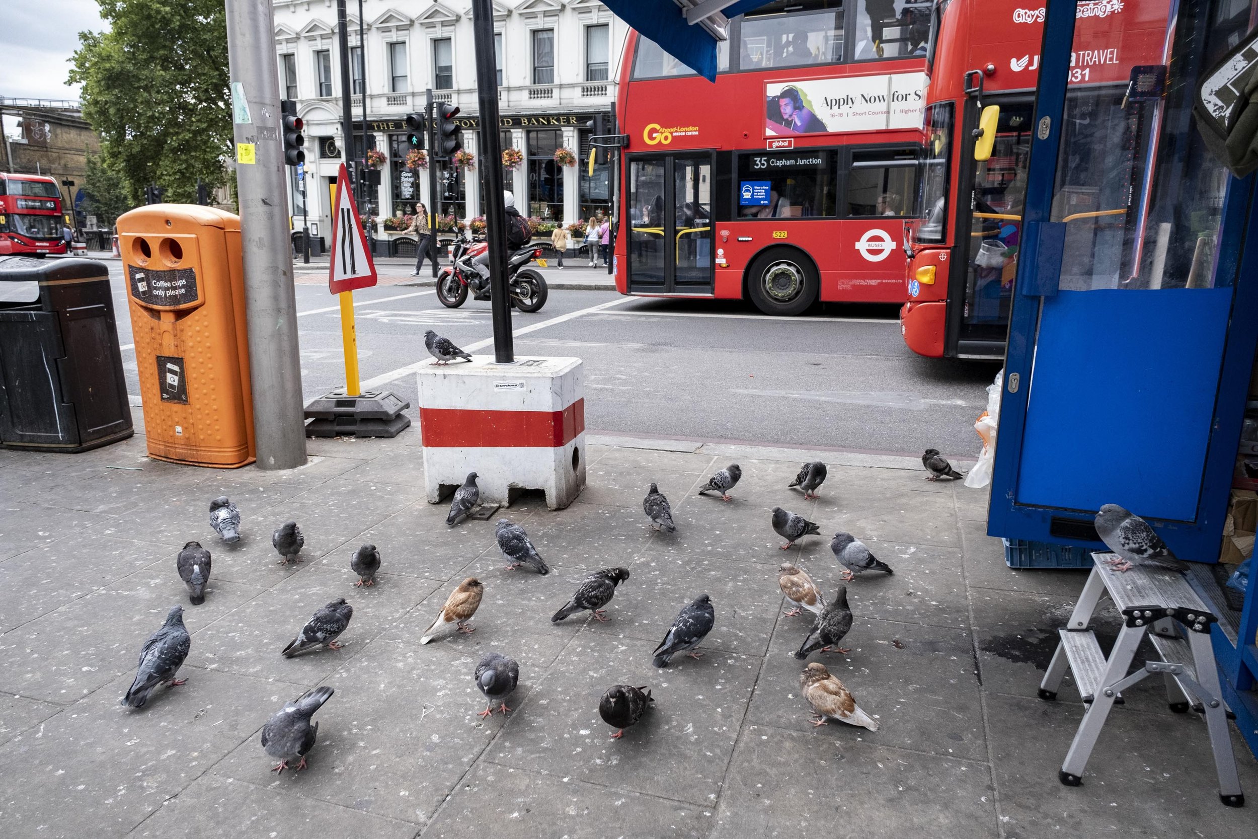 20220822_pigeon pattern_001.jpg