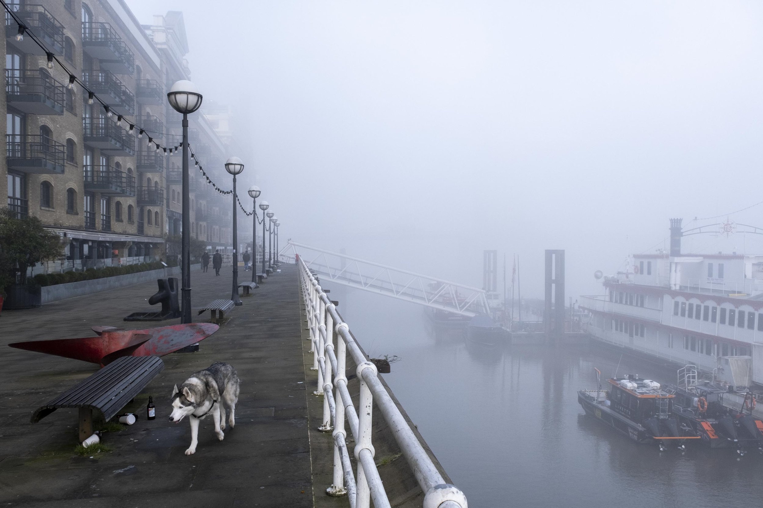 20230208_butlers wharf dog fog_004.jpg