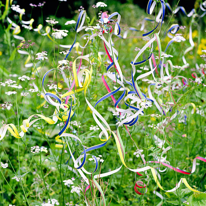 BLOMSTER.jpg
