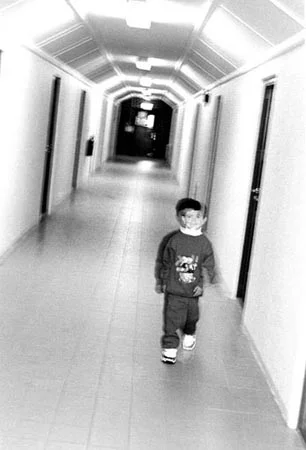 rk6.jpg