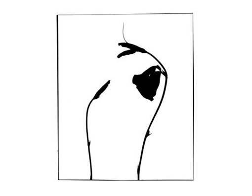 form1.jpg
