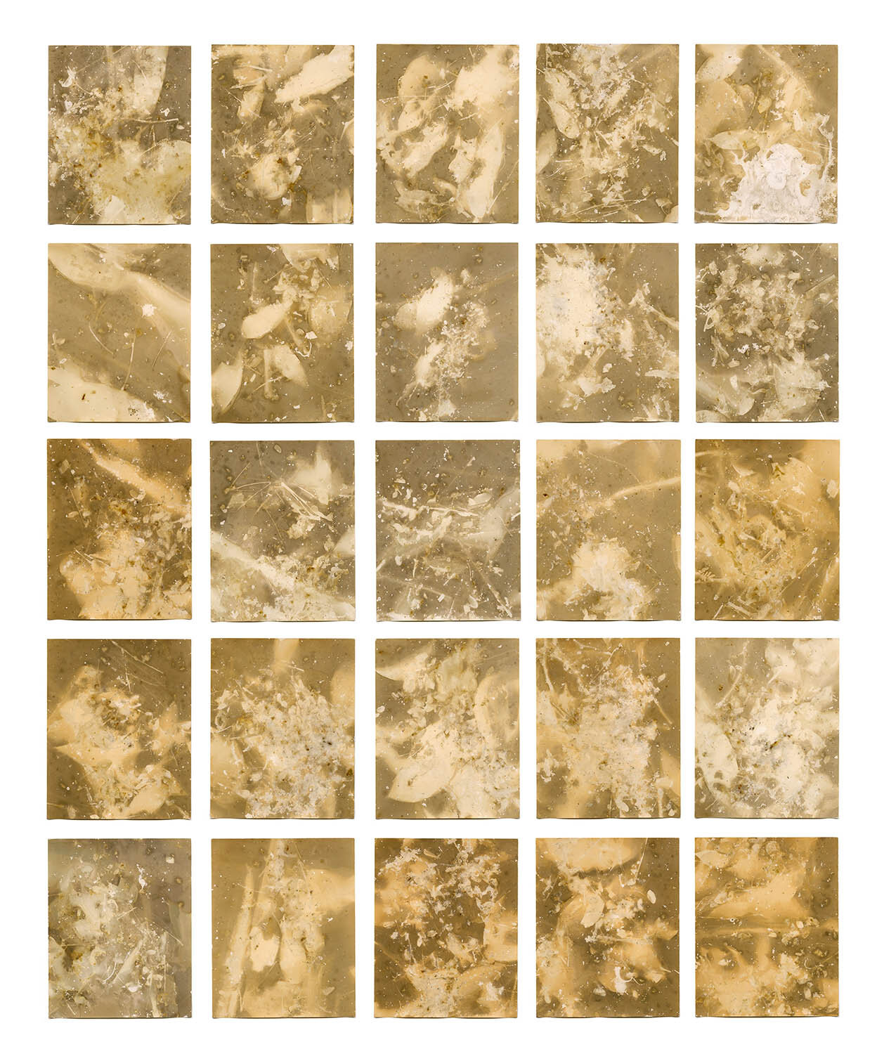 StigMarlonWeston_Empirical12_SoilSamples_MicroclimateNatureReserve.jpg